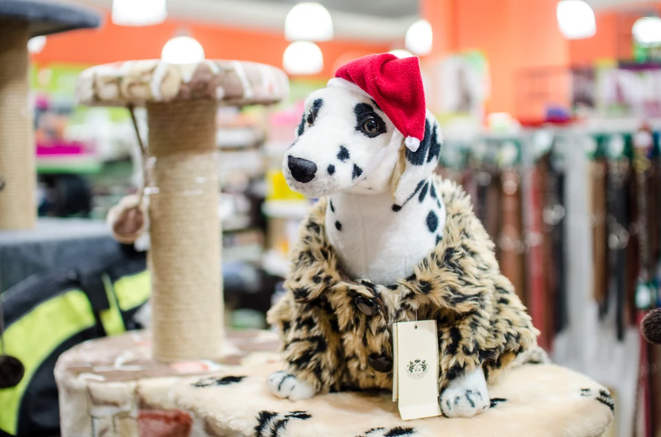Купить пальто и шубку для собак в Киеве