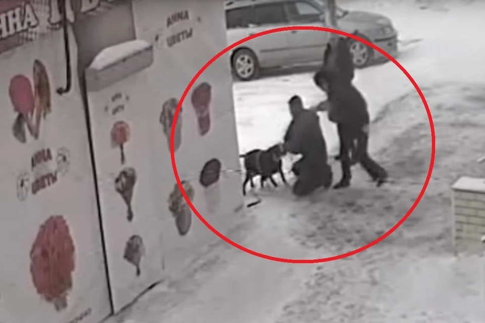 На новой видеозаписи видно, какое сопротивление полицейскому оказывают хозяева пса.