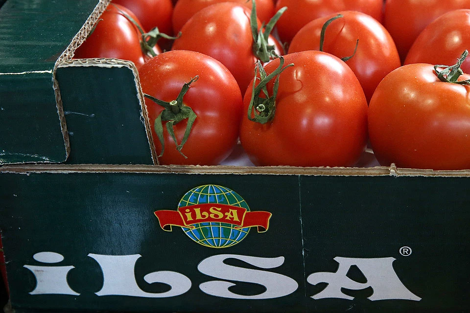 Квота на ввоз турецких помидоров в Россию будет увеличена вдвое. Фото Валерий Шарифулин/ТАСС