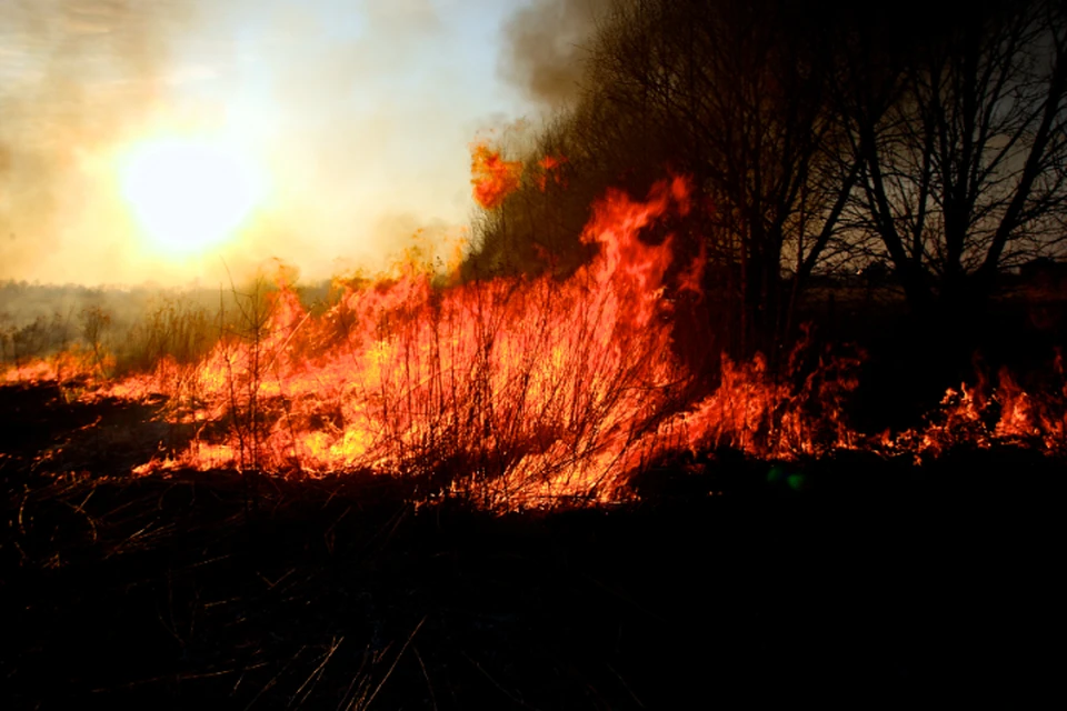 Сначала горим, потом задыхаемся: В Хабаровском крае рекордно рано начался сезон пожаров