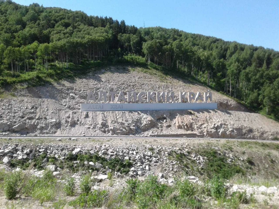 Деревья Алтайского Края Фото И Названия