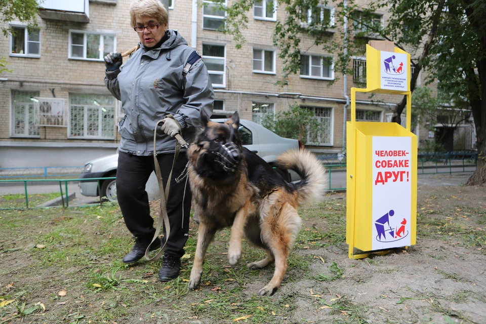 Утилизация собаки