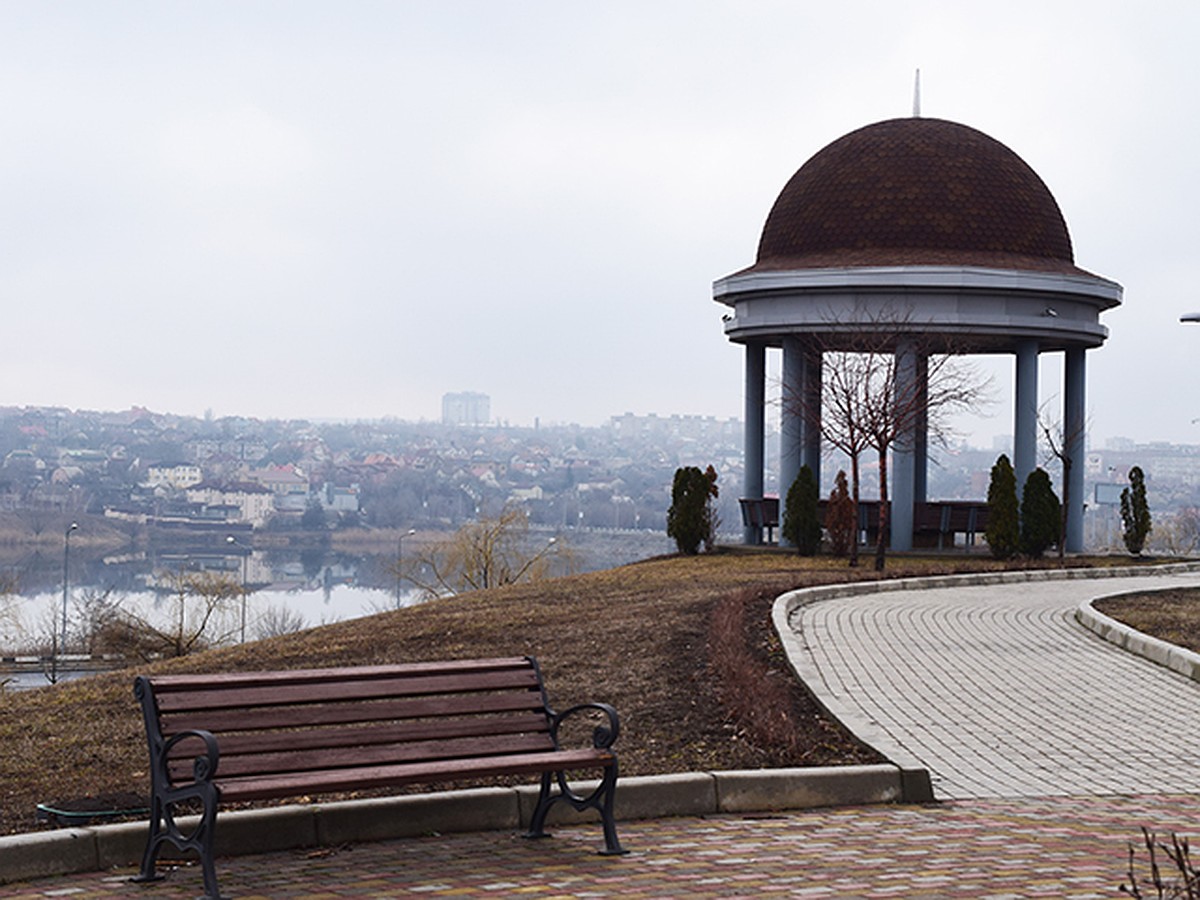 Домашние женщин ню из города донецка (61 фото)