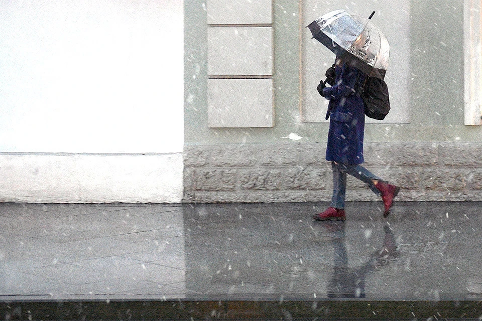 В пятницу в Москве выпадет до 25% месячной нормы осадков в виде мокрого снега.