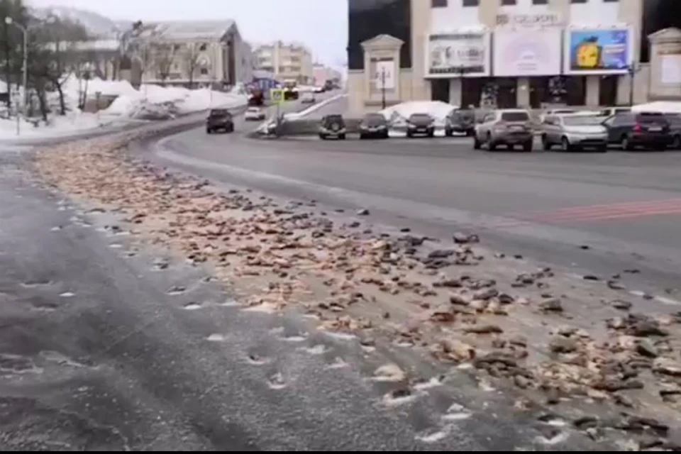 Восемь тонн рыбьих голов вывалилось перед зданием правительства Камчатки. Фото: скриншот видео