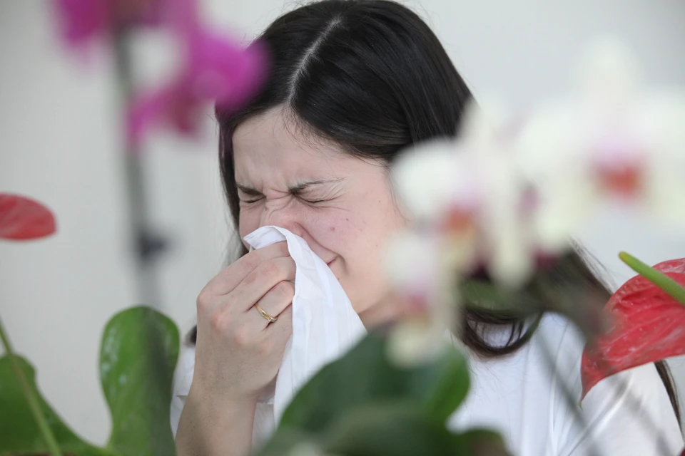Центр погоды «Фобос» сообщил, что весна в этом году началась на 10 дней раньше обычного и досрочно зацвели растения-аллергены.