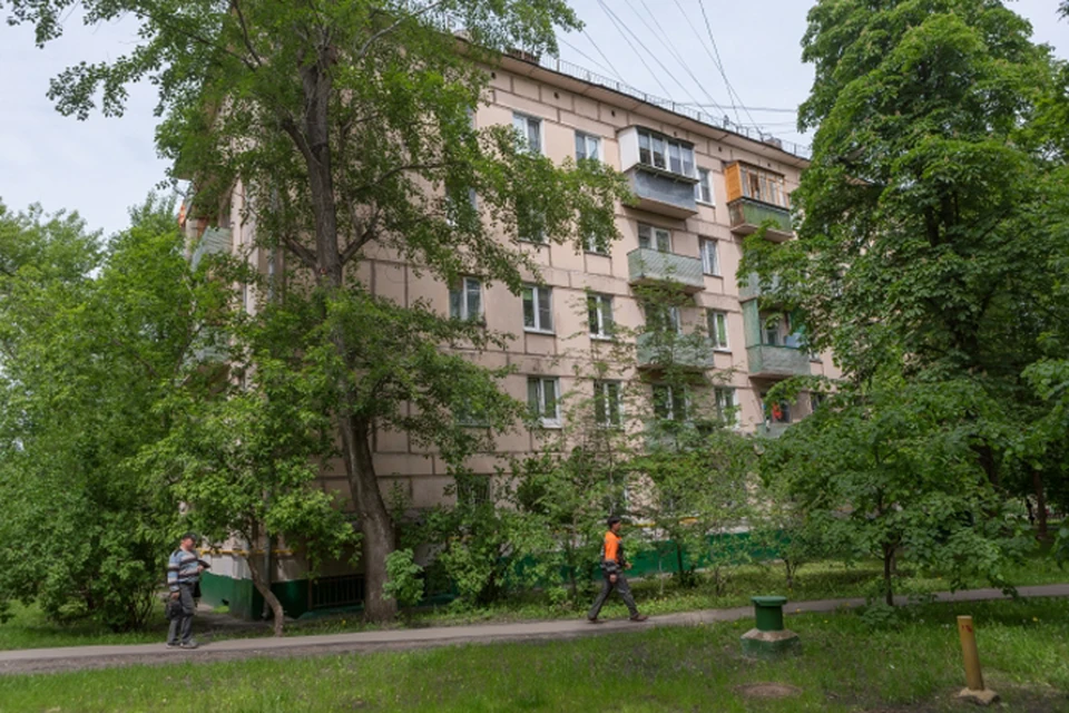 И тебя посчитают: в Нижнем Новгороде создадут реестр зеленых насаждений