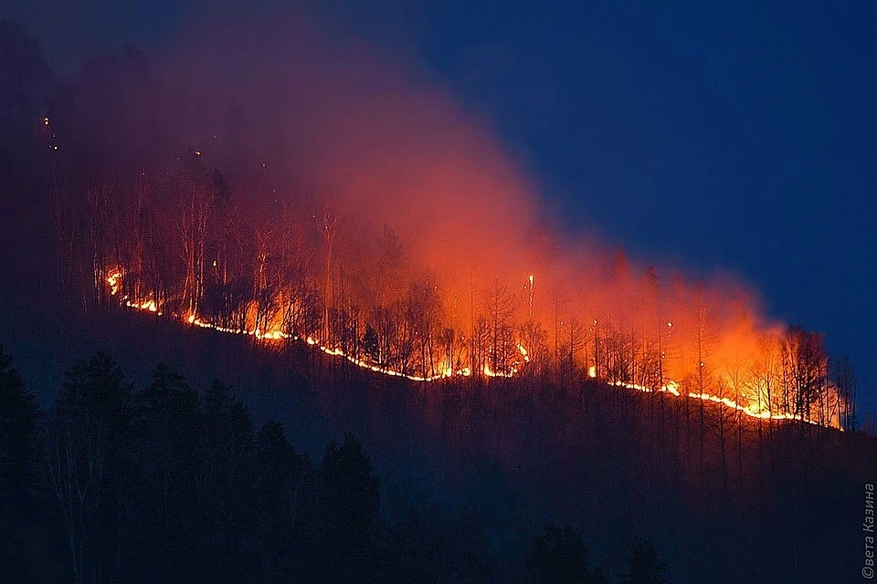 Если в районах не примут меры, лесных пожаров не избежать