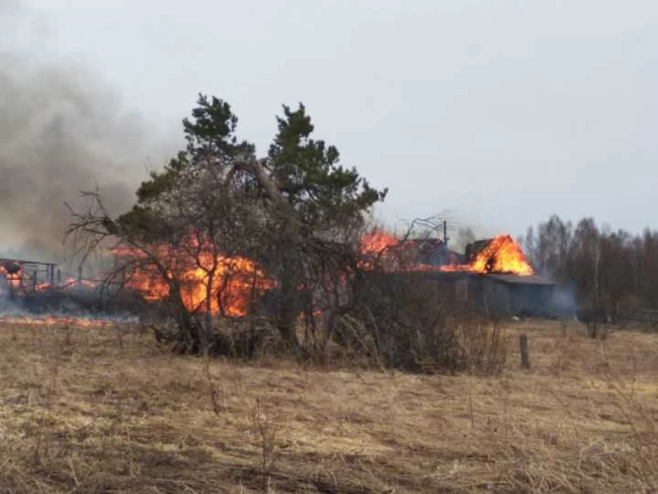 В пожаре сгорела половина домов в деревне