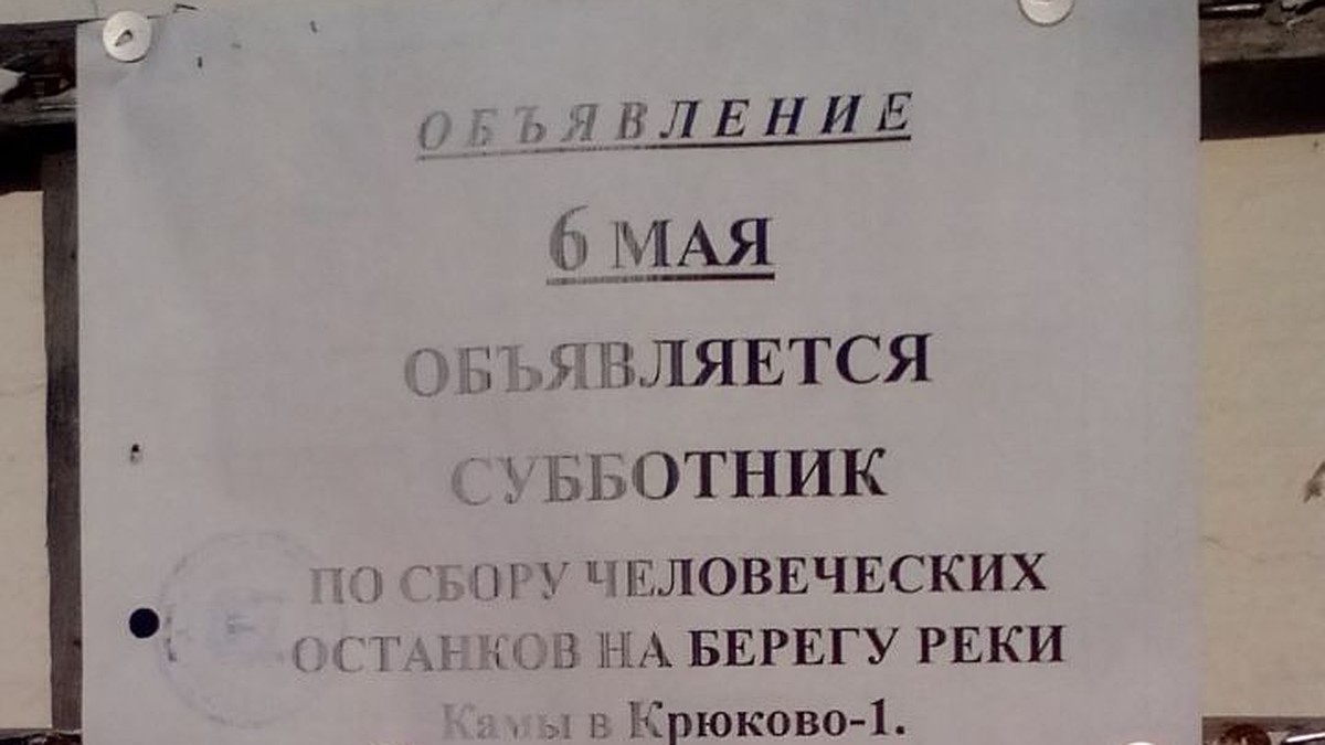 Жителей села в Прикамье позвали на субботник «по сбору человеческих  останков» - KP.RU