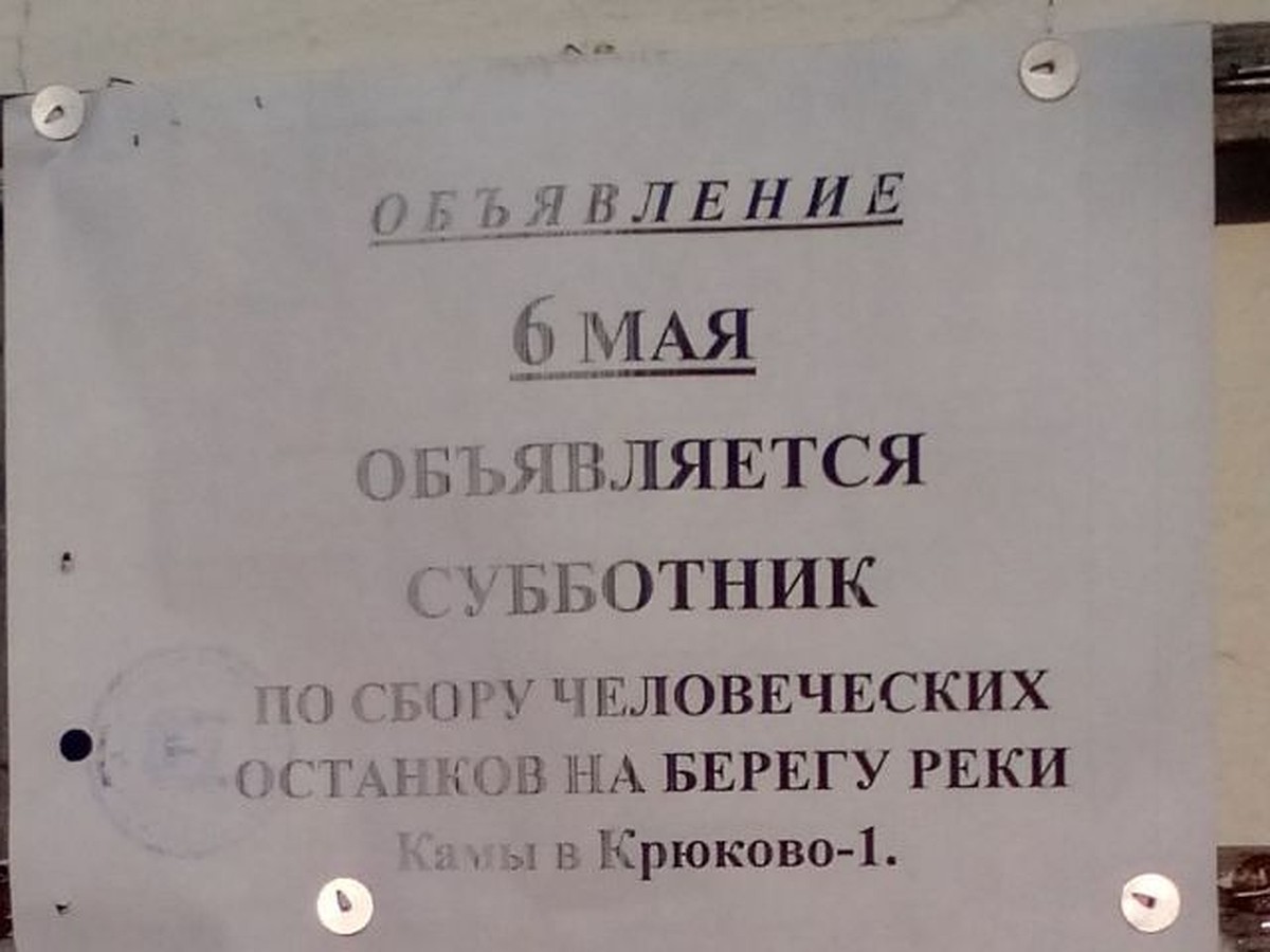 Жителей села в Прикамье позвали на субботник «по сбору человеческих  останков» - KP.RU