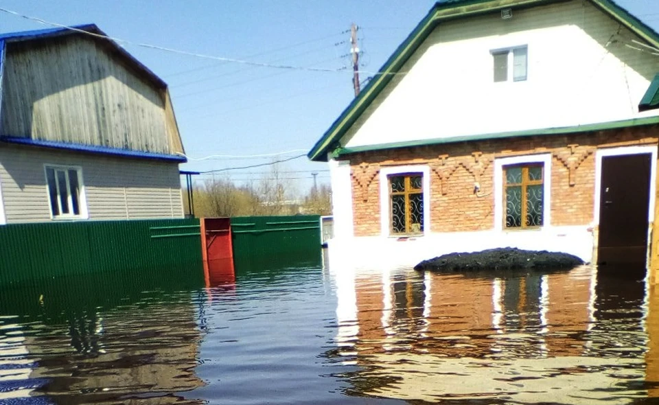 Фото информационной передачи «День»