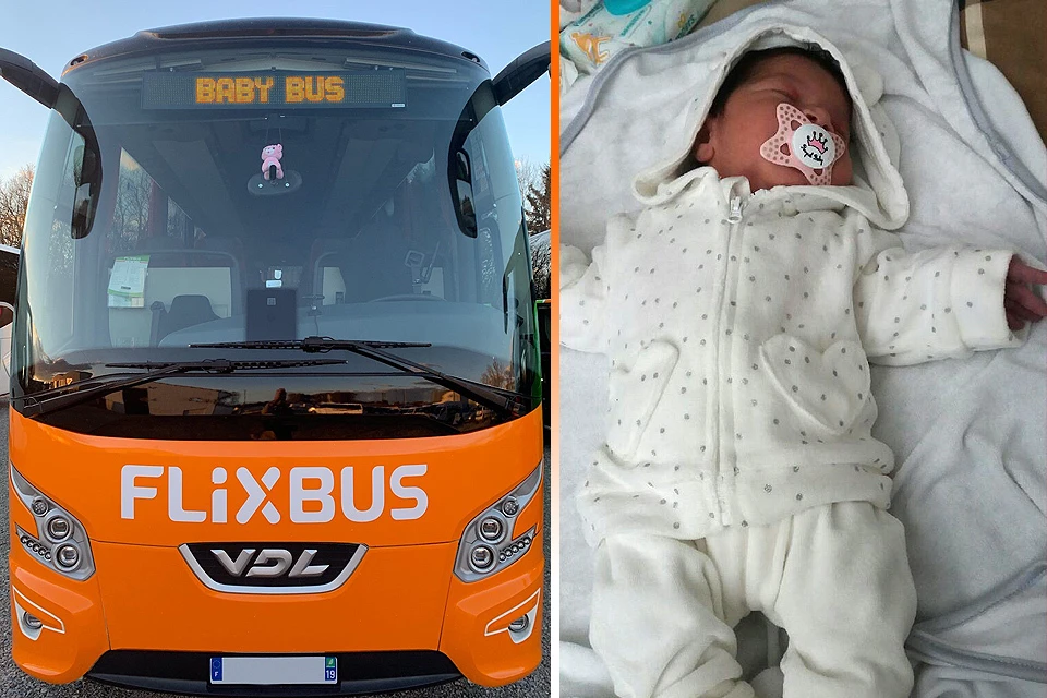 Автобус компании Flixbus.