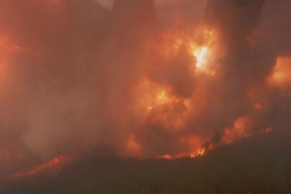 С бушующими лесными пожарами борются в Красноярском крае. Фото: КГАУ "Лесопожарный центр".