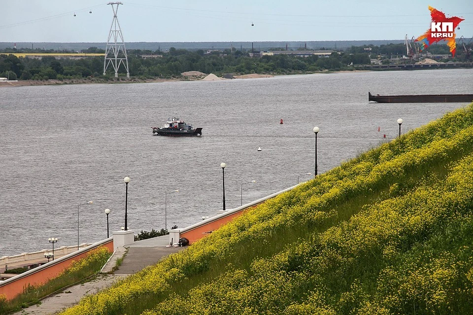 Волга, великая русская река, крупнейшая в Европе, стремительно мелеет.