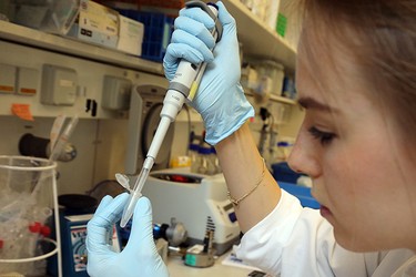 Далеко не все знают, что антибиотики по своей природе являются веществами, которые выделяют микроорганизмы для общения друг с другом