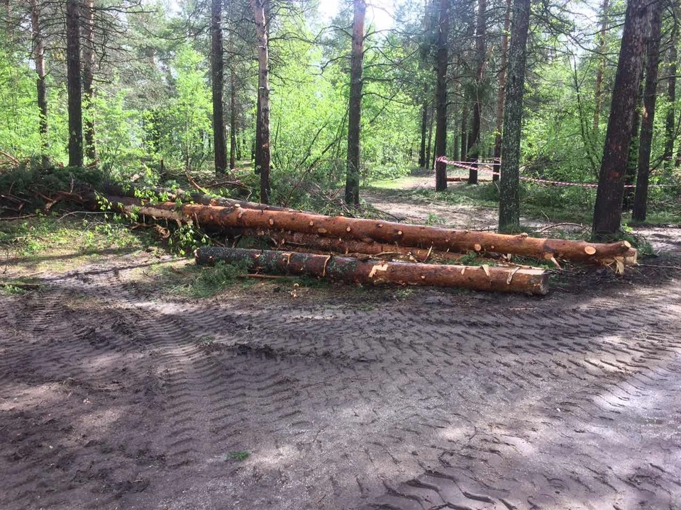 Фото: социальные сети.