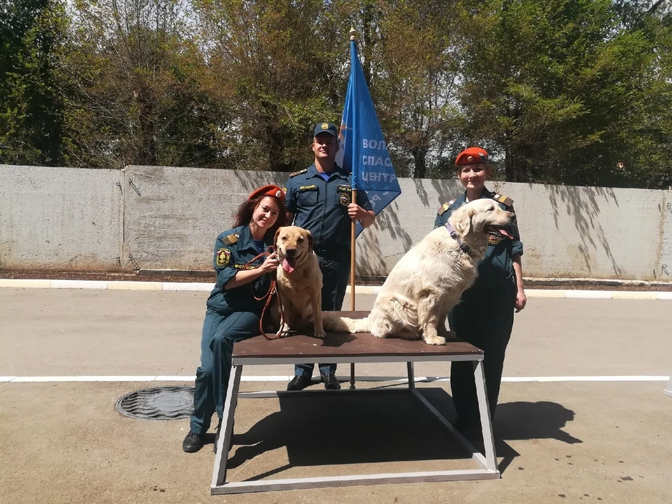 В Волжском спасательном центре МЧС России служат две собаки