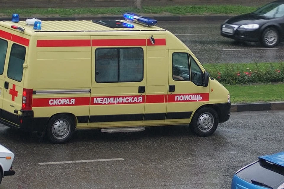 Тело нашли неподалеку от села Шошка