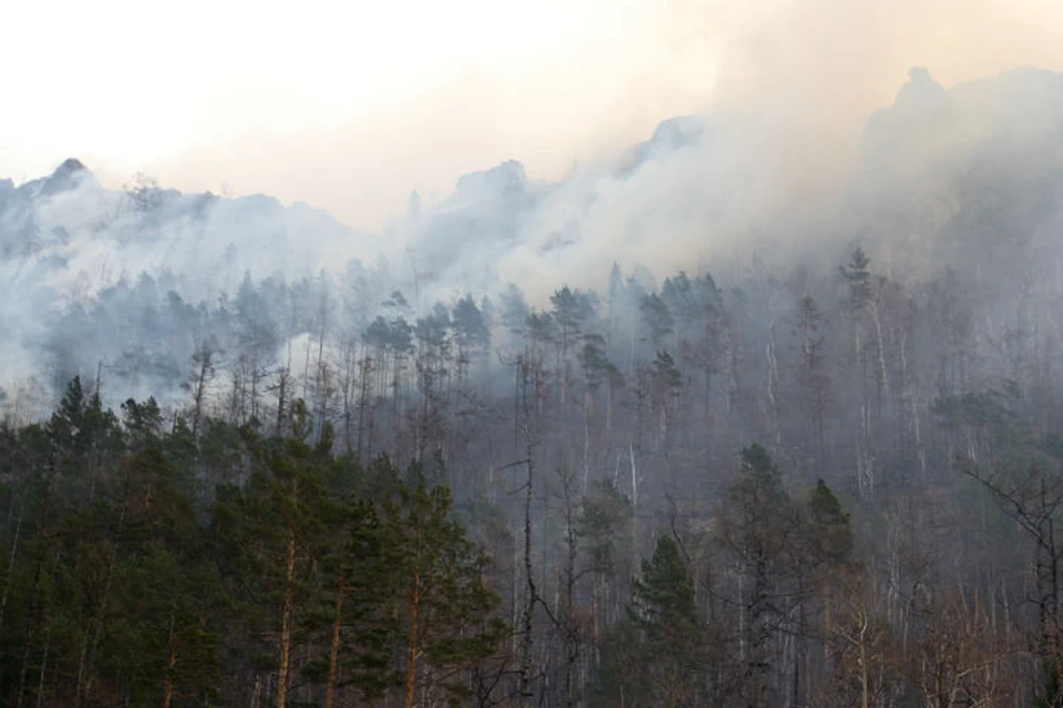 Лесные пожары в Иркутской области: горит 75 тысяч гектаров тайги