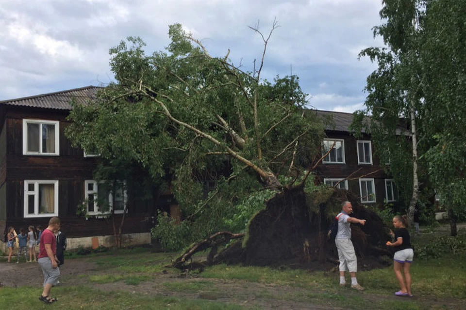 Ураган валил деревья прямо на дома Фото: ЧП-Лесосибирск