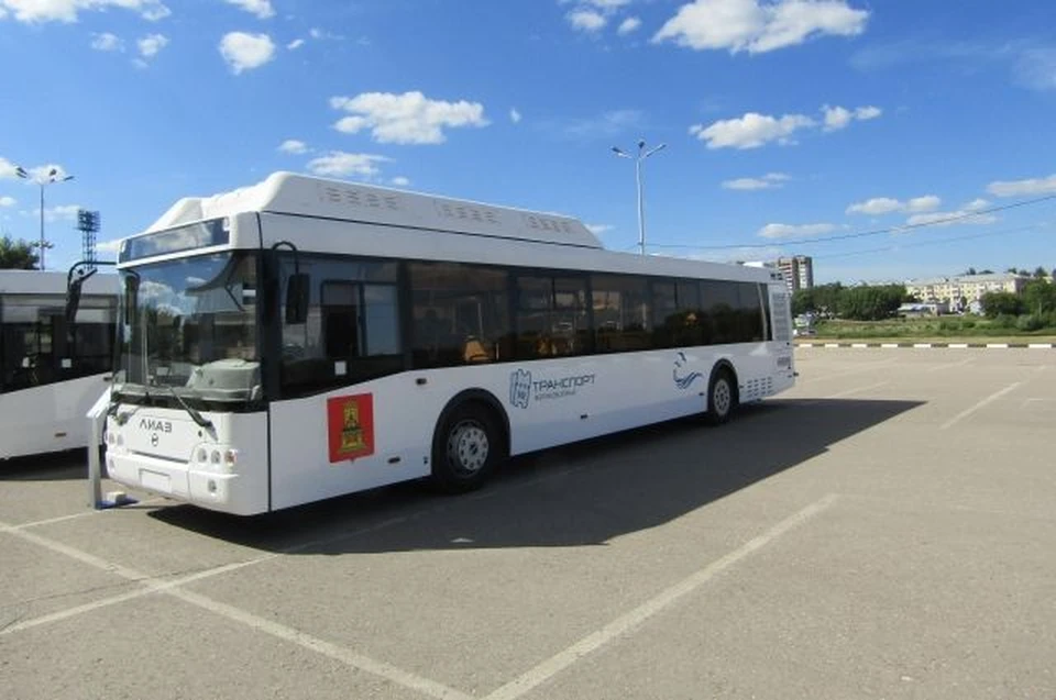 Вот такие автобусы будут вскоре возить жителей Верхневолжья. Фото: пресс-служба ПТО