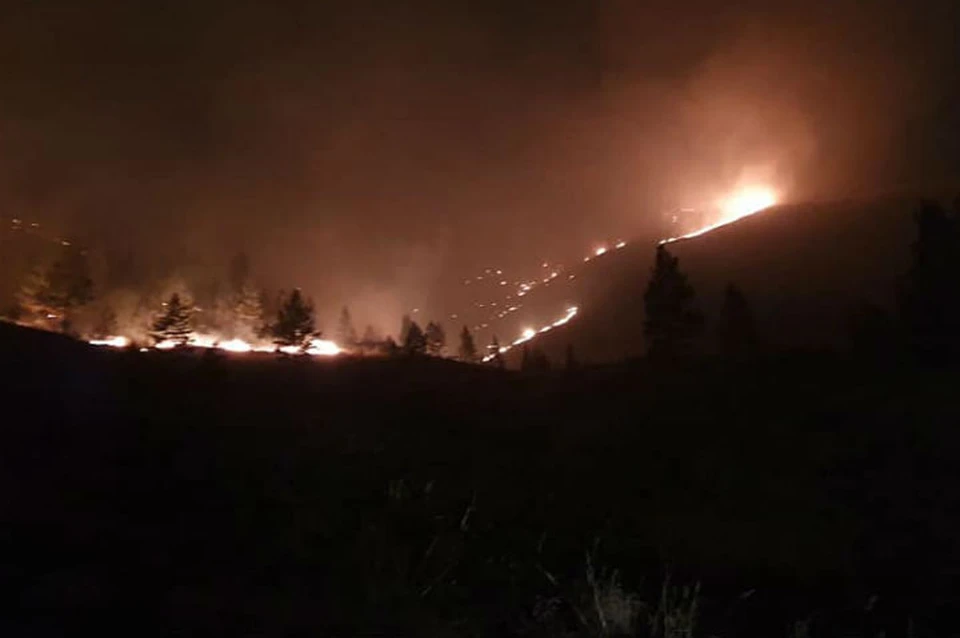 Отстояли от огня: в Бурятии из-за лесного пожара эвакуировали детский лагерь под Улан-Удэ.Фото: пресс-служба администрации Улан-Удэ.