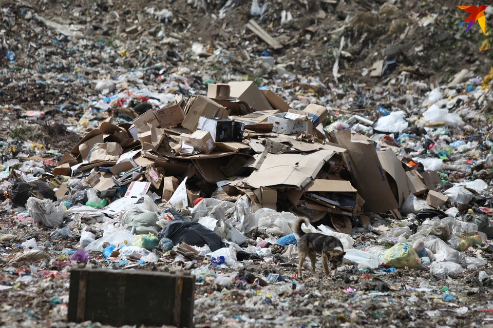 В России планируют до минимума сократить количество полигонов для мусора.