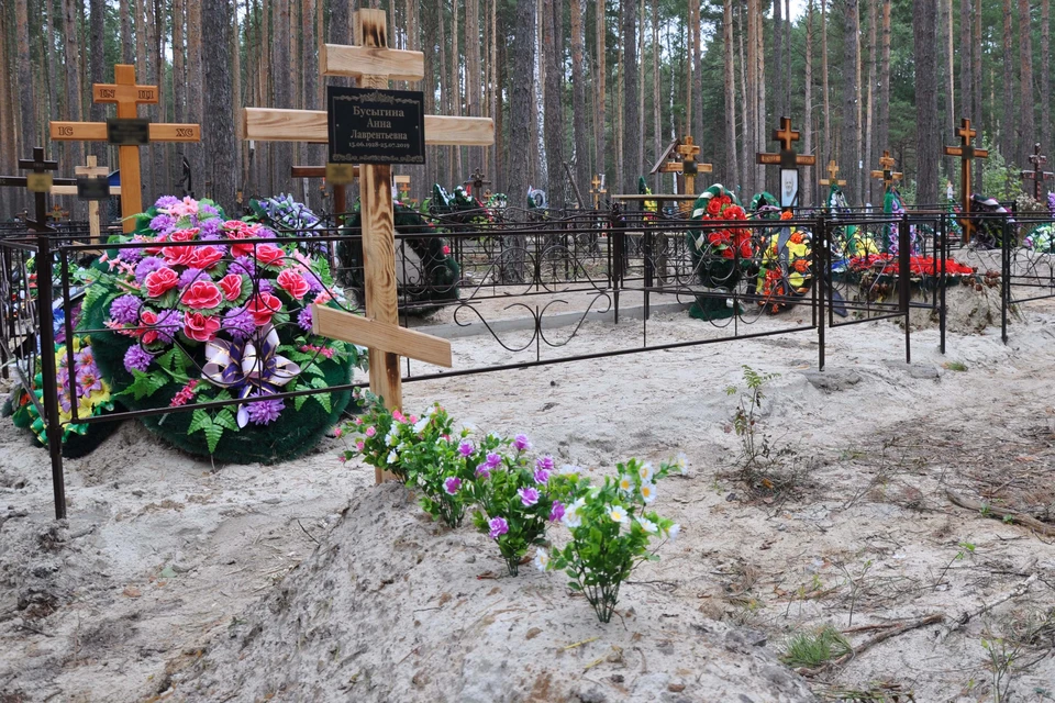 Могила ветерана труда на Червишевском кладбище