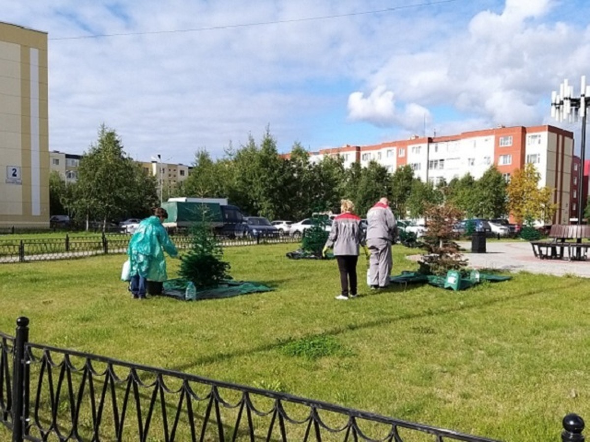 Парня в самолете поймали за пикантным занятием: курьезное видео