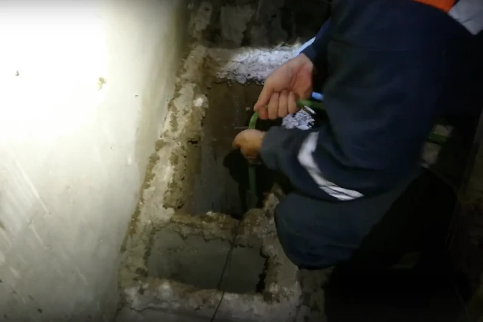 В Петербурге спасли кошку, провалившуюся на дно шахты на глубину 27 метров