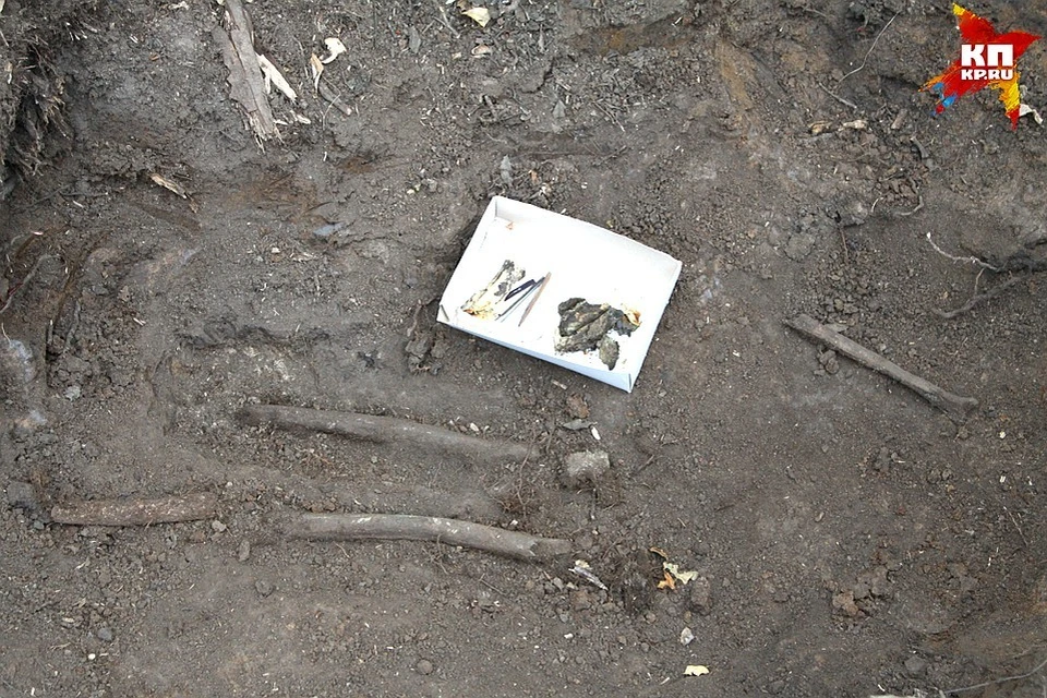 Таинственная находка. Раскопки кабельных трасс. Археологические раскопки на месте старых кладбищ.