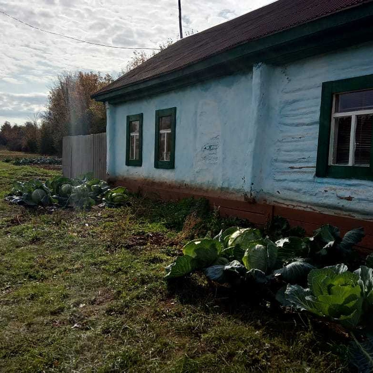 Просвещение есть, а школы нет: чем живет заброшенный поселок в самарской  глубинке - KP.RU