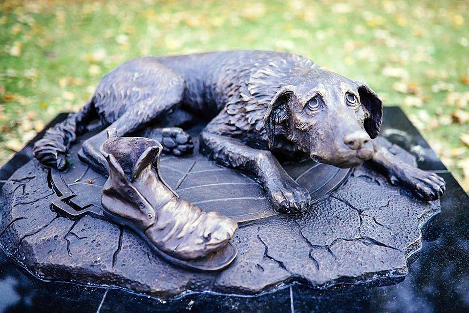 Собака с грустными глазами: в парке «Музеон» открыли памятник бездомным  животным - KP.RU