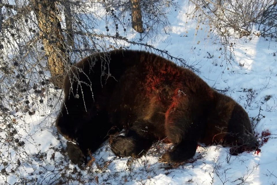 Погибший вместе с другом поехал за запчастями.