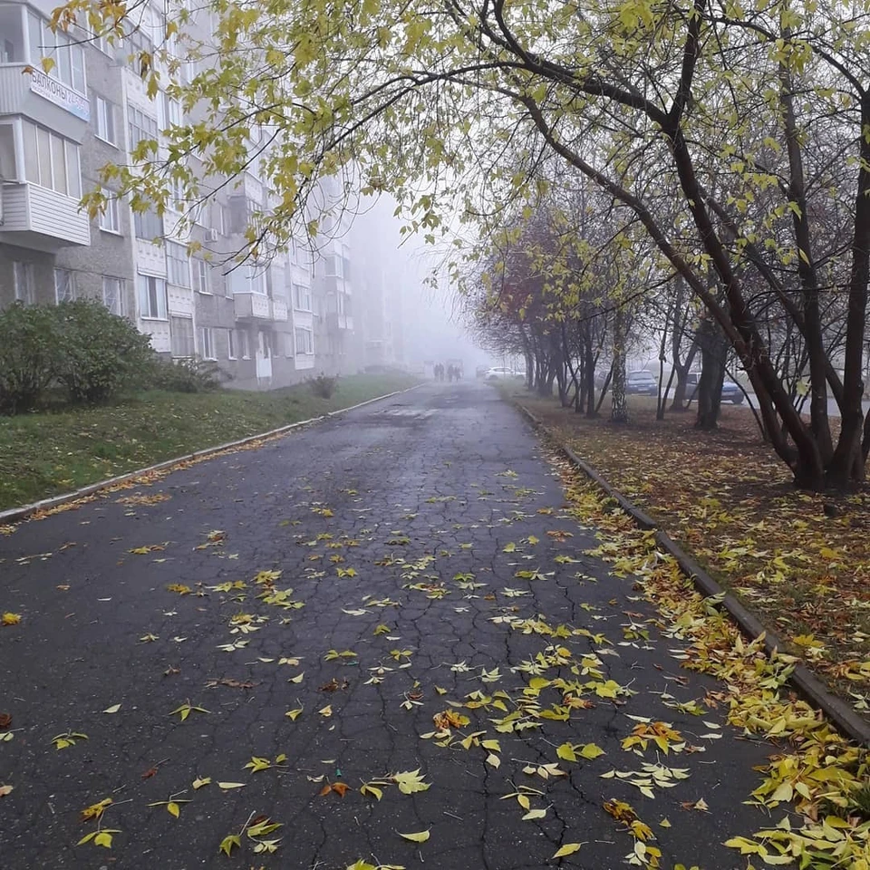 Фото: @snezhkaburanova