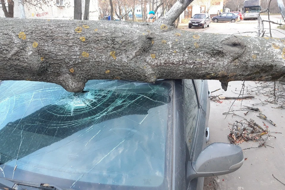 Нижегородцы обсуждают в сети последствия шквалистого ветра.