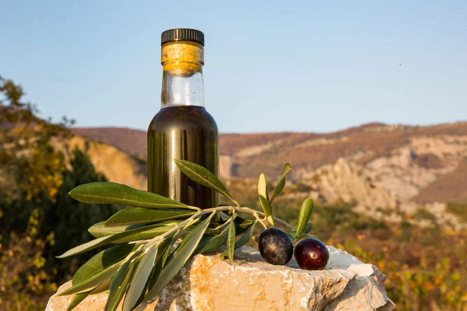 Первое крымское оливковое масло. Фото: пресс-служба КФУ