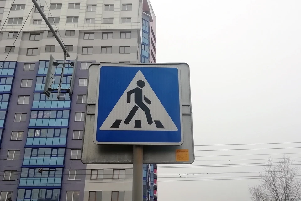 Число пешеходных переходов предлагают сократить в Барнауле