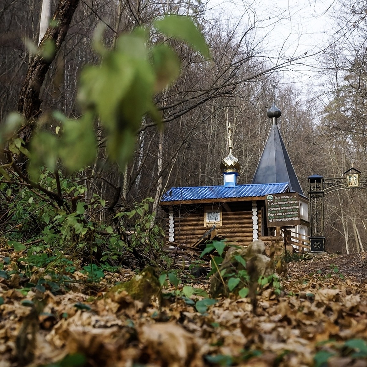 Больше никаких ям и грязи! К Каменной Чаше на Самарской Луке теперь можно  добраться и пешком, и на машине - KP.RU