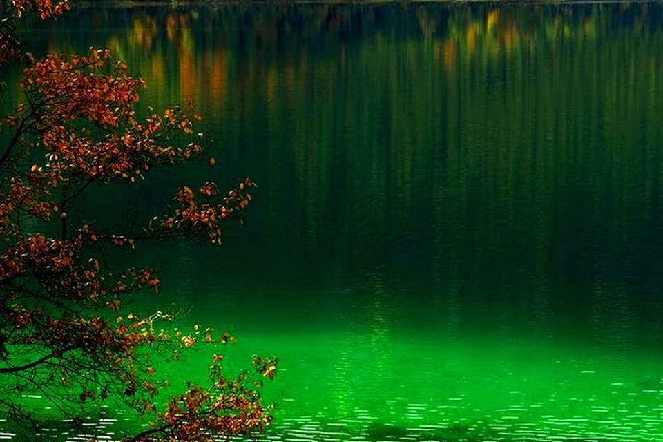 Вода в реке приобрела ярко-зеленый оттенок