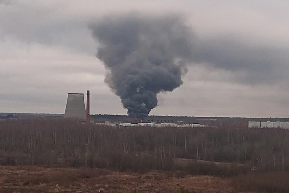 Недалеко от Северной ТЭЦ в Ленобласти произошел мощный пожар