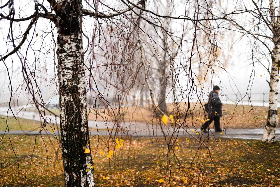 ФОТО: Амир ЗАКИРОВ