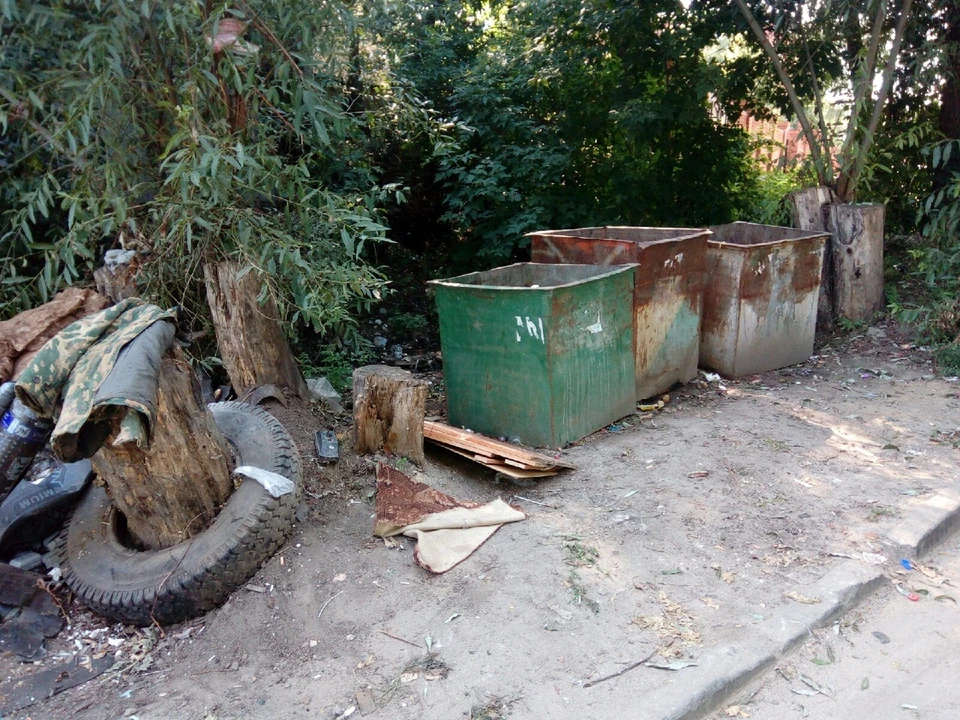 В Воронежской области мусорная реформа стартовала меньше года назад
