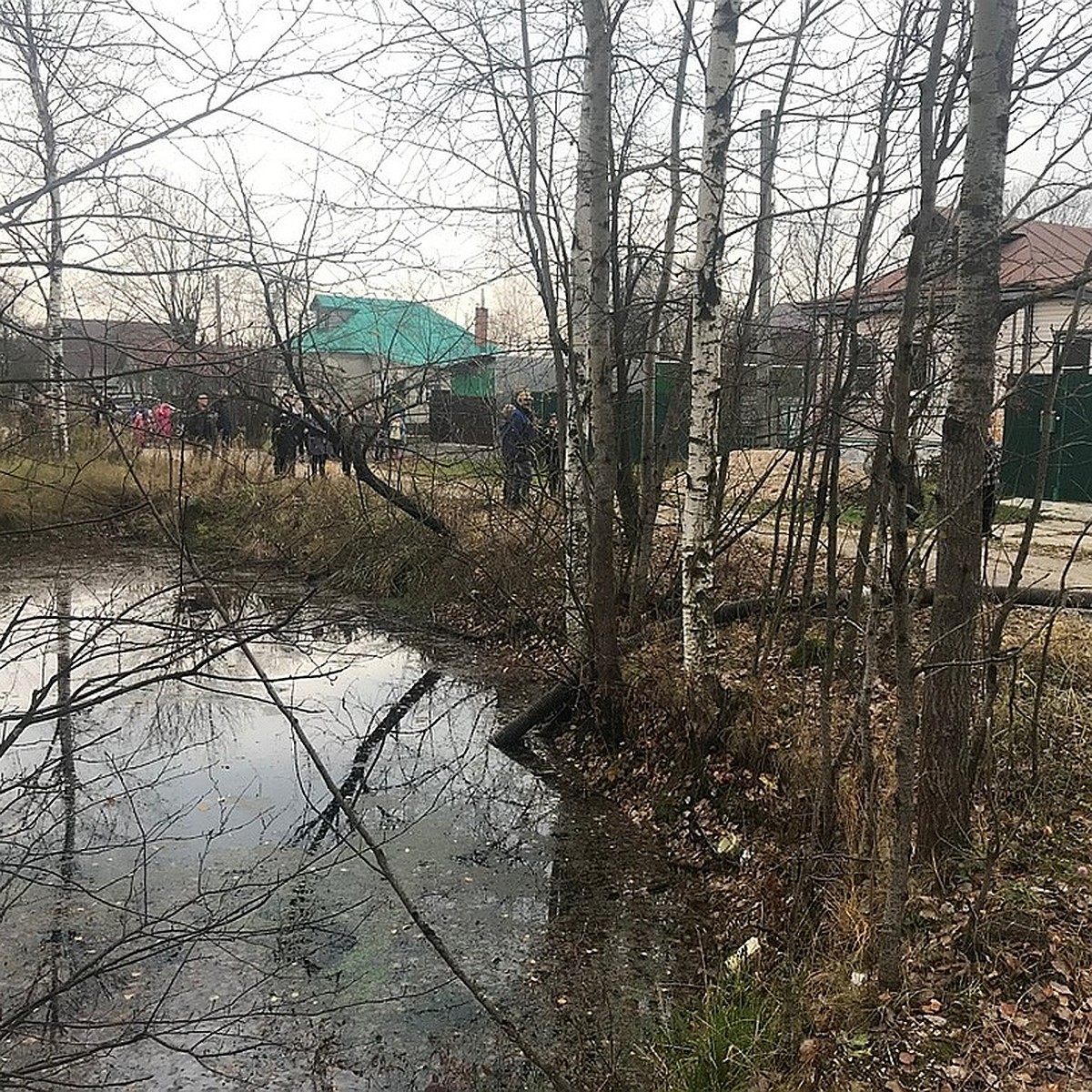 Горим и не спасут: пожарные водоемы во Владимирской области заброшены и  пересыхают - KP.RU