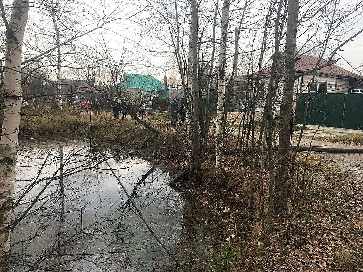 Горим и не спасут: пожарные водоемы во Владимирской области заброшены и  пересыхают - KP.RU