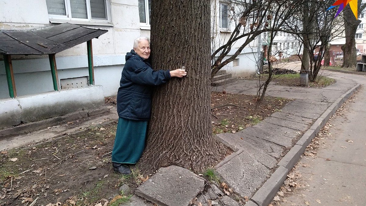 Дуб разрушает двор, а нам запрещают его спилить». 90-летняя минчанка  борется с коммунальниками - KP.RU