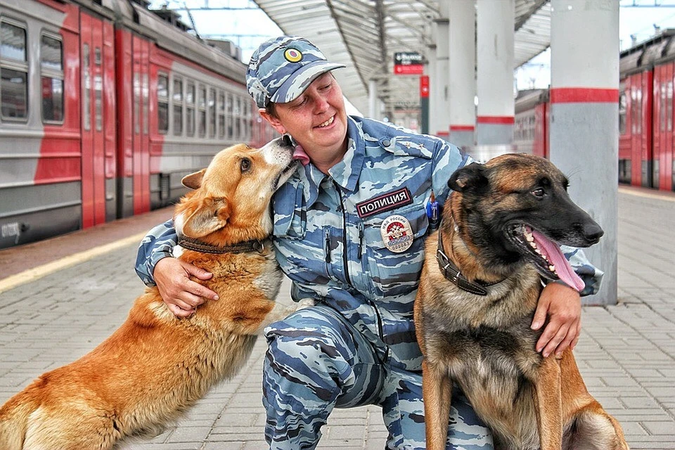 Единственный в России корги-коп рассказал о службе в полиции