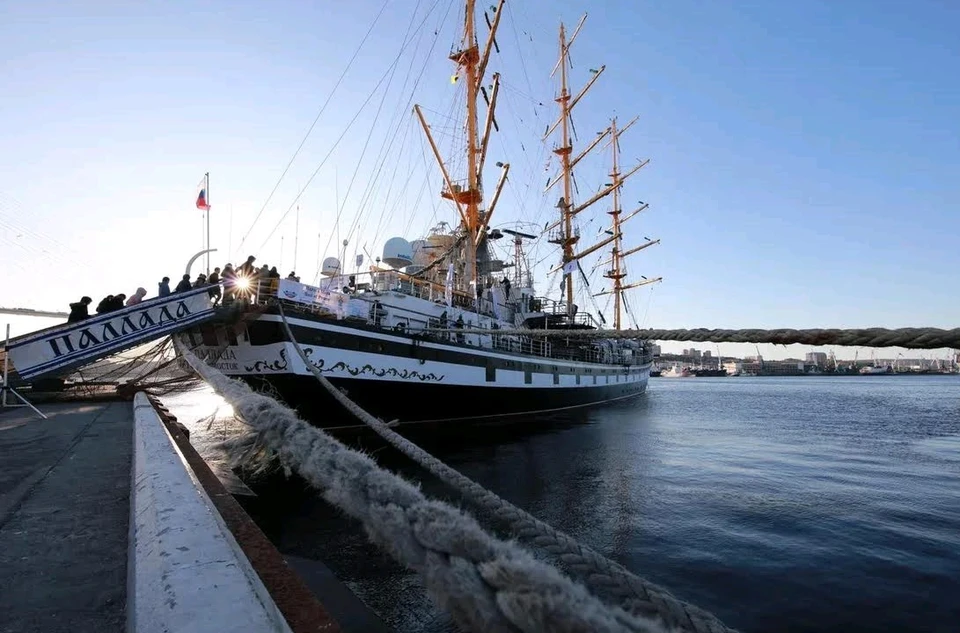 Фрегат «Паллада» торжественно проводили в путь из порта Владивостока 1 ноября.