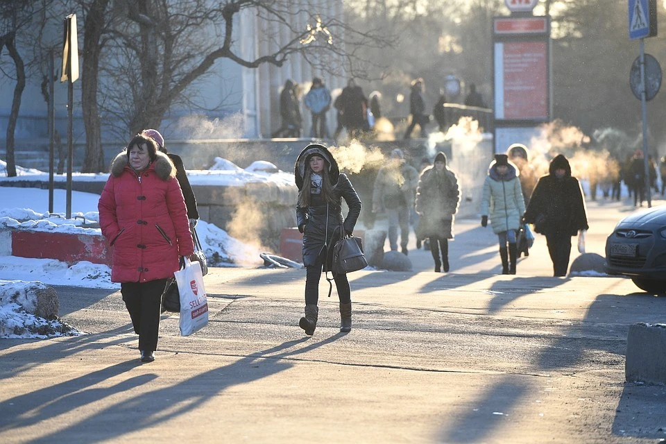 МЧС предупредило о сильном ветре и мокром снеге в Подмосковье